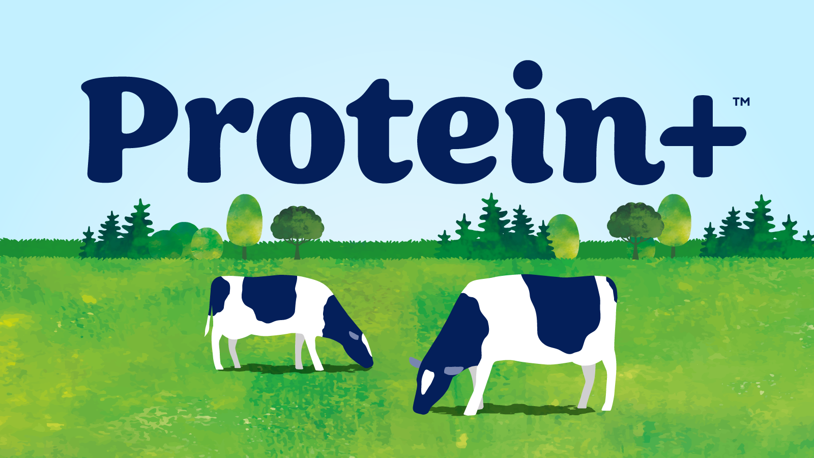 Illustration of a green pasture with black and white cows grazing, and a background of trees and a light blue sky, with the word 'Protein+' in large, bold, blue letters at the top.
